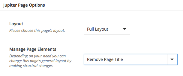 Remove Page Title