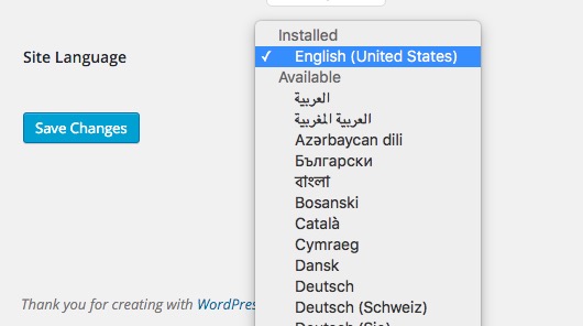 Translate Theme - WordPress Default Language