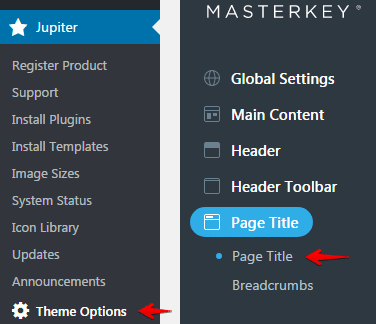 Configuring page title - Page Title