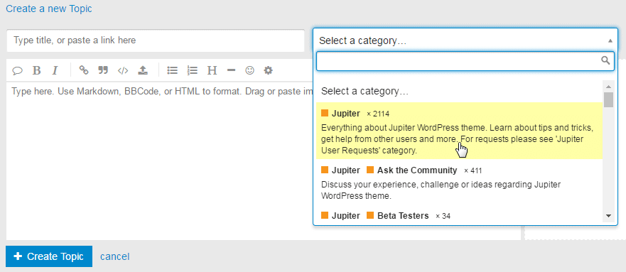 Filling a feature or bug report - category