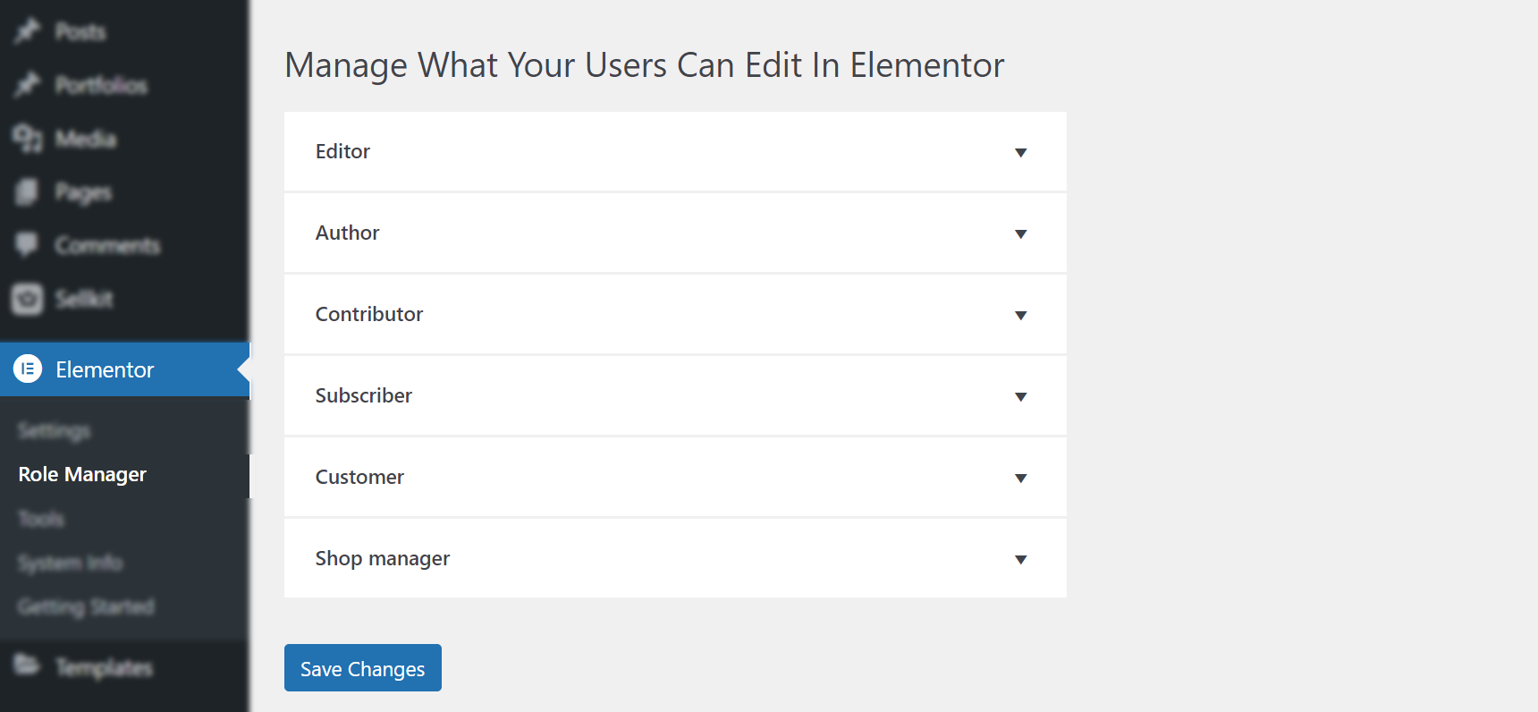 Manage what your users can edit in Elementor